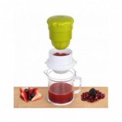 2 spoon juicer for fruits...