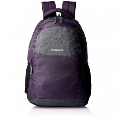 Buy Aristocrat 26 Ltrs Green Medium Backpack Online At Best Price @ Tata  CLiQ